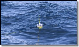 EPIRB in the ocean