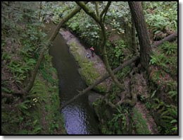 Gorge test site