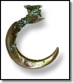 Carved abalone hook as found on beach (no hi-rez)