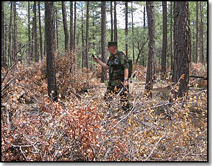 Boxing TracMe in the woods